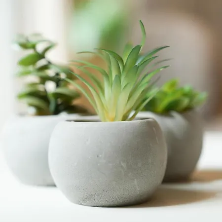 101-freiburg - 2 Lejlighed *