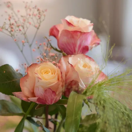 101-freiburg - 2 Appartement *