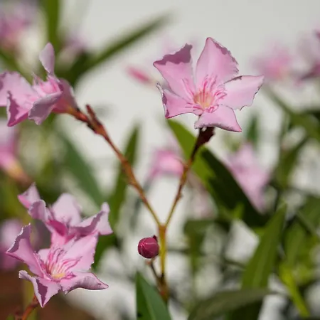 101-freiburg - 2 * Freiburg im Breisgau