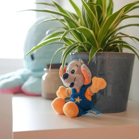 101-freiburg - 2 * Fribourg im Breisgau